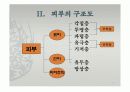 피부의 구조와 기능 5페이지