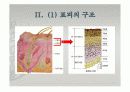 피부의 구조와 기능 6페이지