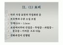 피부의 구조와 기능 7페이지
