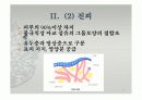 피부의 구조와 기능 16페이지