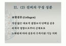 피부의 구조와 기능 19페이지