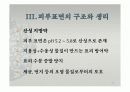 피부의 구조와 기능 23페이지
