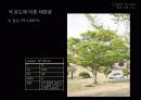 사진촬영_빛과 조명, 구도이해 11페이지