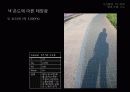 사진촬영_빛과 조명, 구도이해 13페이지