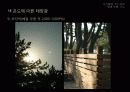 사진촬영_빛과 조명, 구도이해 14페이지