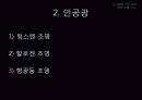 사진촬영_빛과 조명, 구도이해 22페이지