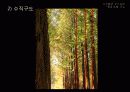 사진촬영_빛과 조명, 구도이해 51페이지