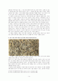 잭슨폴록(Jackson Pollock ) 작품세계 15페이지