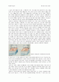 엘리뇨와 라니냐 그리고 동해 4페이지