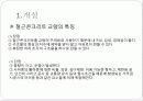 철근콘크리트교량-(슬래브교등등) 3페이지