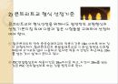 교량의 계획 (조사의 종류에 따른 조사내용 및 목적) 17페이지