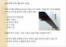교량의 계획 (조사의 종류에 따른 조사내용 및 목적) 19페이지