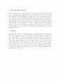 독일의 세무조사 현황과 본받을 점 2페이지