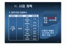 러시아 LCD판매 사업계획서 28페이지