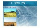 태안의 생태관광 현황 및 문제점 & 개선방안 8페이지