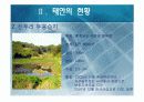 태안의 생태관광 현황 및 문제점 & 개선방안 9페이지