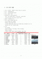 국제관광사업계획서(미국) 2페이지