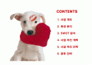인터넷 애견업체 창업계획서 2페이지