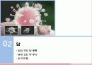 [여성과건강] 암과 여선건강 5페이지