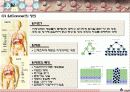 [여성과건강] 암과 여선건강 6페이지