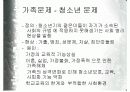 가족 문제에 대한 이해 11페이지