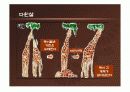생명의 기원, 인류의 기원, 자연발생설, 진화론 13페이지