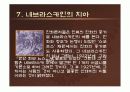 생명의 기원, 인류의 기원, 자연발생설, 진화론 35페이지