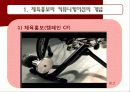 체육 행정론(커뮤니케이션 및 사무관리) 4페이지