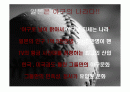 일본 프로야구 2페이지