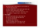 일본 프로야구 4페이지
