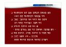 일본 프로야구 17페이지