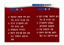 일본 프로야구 24페이지