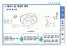 스포츠 지도론- 에너지 체력훈련 3페이지
