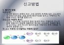 아동성폭력 10페이지