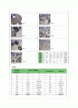 주조응고및실습 사립자의 입도 측정 결과보고서 + 고찰 5페이지