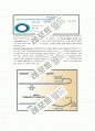 coronary catheter 3페이지