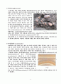 대구시 팔달교 일대 지질조사(팔달역암, 칠곡층) 4페이지