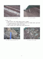 대구시 팔달교 일대 지질조사(팔달역암, 칠곡층) 18페이지