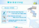마케팅 관리론에 입각한 여행상품 전략 13페이지