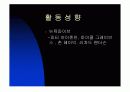 리차드 마이어 스미스 하우스 5페이지
