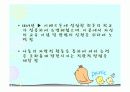 페스탈로치 4페이지