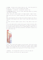 신경계 구조와 기능 5페이지
