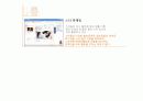 싸이월드 마케팅전략 분석 100점짜리 A+ 자료(5C,4P,STP,SWOT 분석)(100점짜리 A+자료) 21페이지