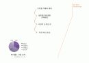 싸이월드 마케팅전략 분석 100점짜리 A+ 자료(5C,4P,STP,SWOT 분석)(100점짜리 A+자료) 28페이지