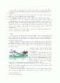 [한국사회문제E]행정중심복합도시의 원안과 현재 정부에서 제시하고 있는 수정안 분석과 논박 9페이지