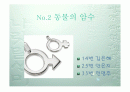 초등 4학년 2학기 동물의 암수 발표 ppt 1페이지