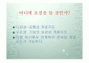 초등 4학년 2학기 동물의 암수 발표 ppt 17페이지