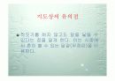 초등 4학년 2학기 동물의 암수 발표 ppt 27페이지