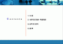  요약 및 분석 2페이지