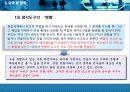  요약 및 분석 17페이지
